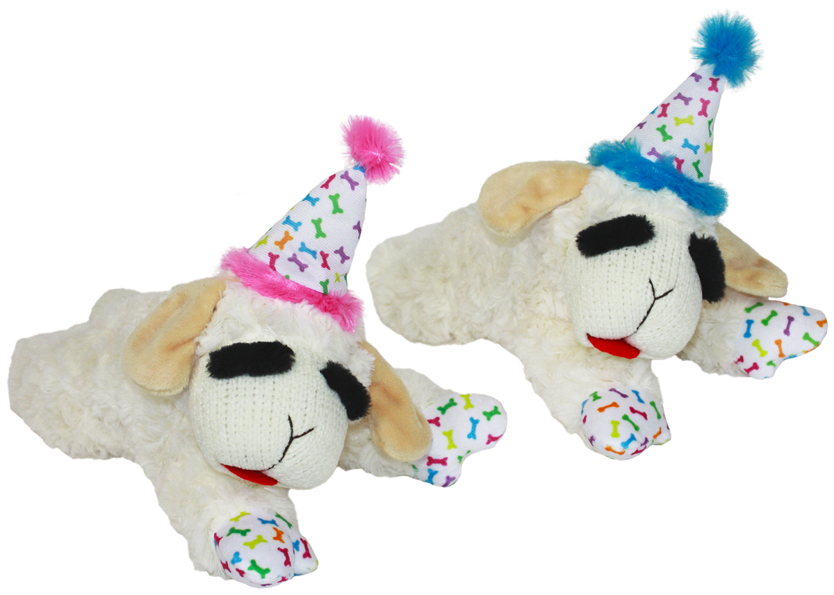 Multipet Lamb Chop® w/ Birthday Hat - Assorted Colors 6"