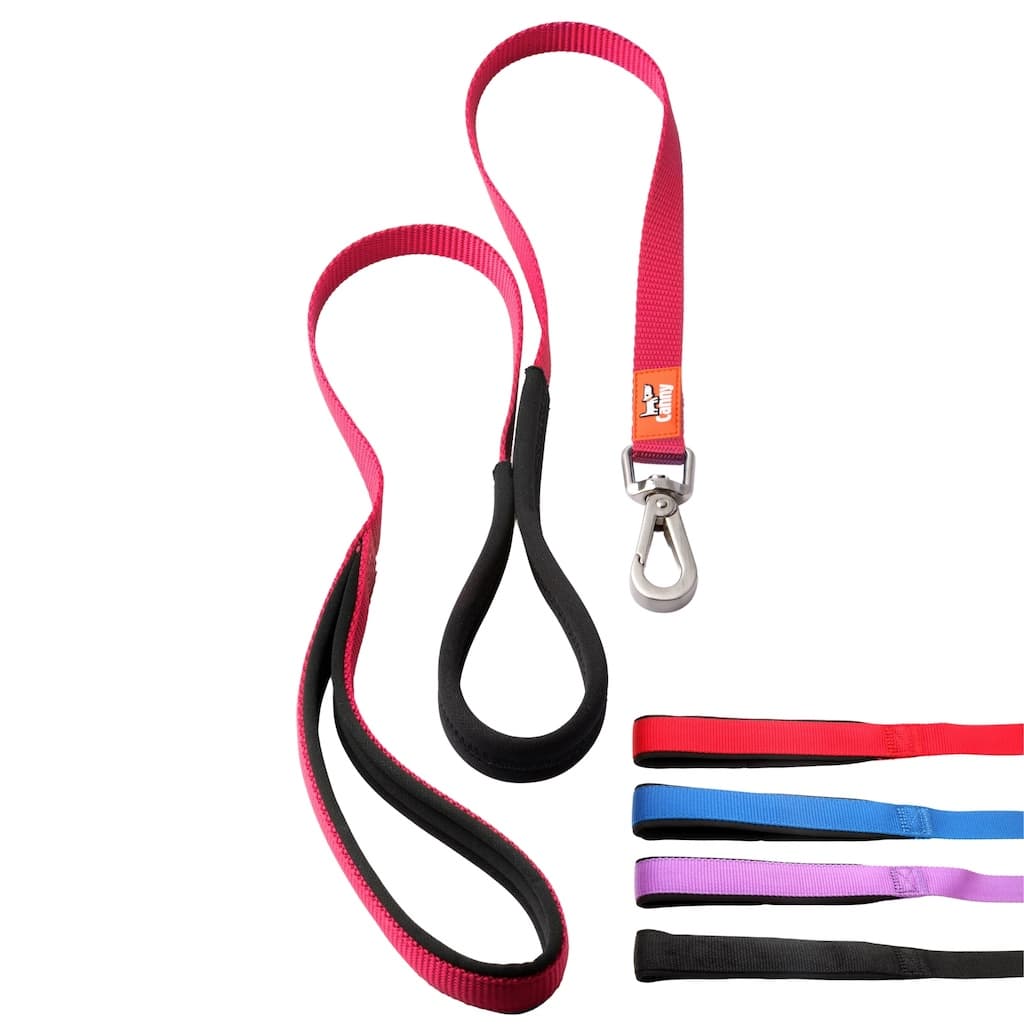 Canny Leash